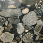 Black and Gold Marinace