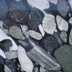 Black and White Marinace