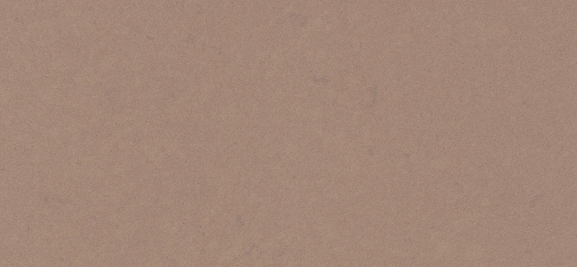 Ginger 4330